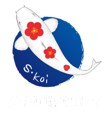 순천비단잉어